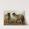 Two Rams In A Landscape by Rosa Bonheur