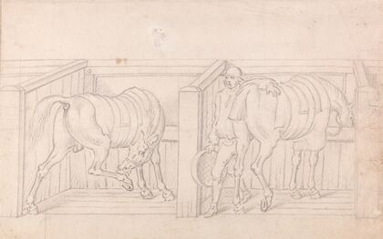 Two Saddled Horses in Stalls in a Stable