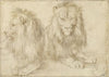 Two seated lion (1521)