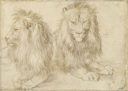 Two seated lion (1521)