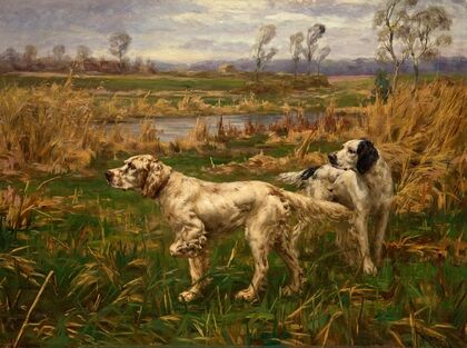 Two Setters (1905)