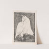 Two Silver Herons (1898) by Theo van Hoytema