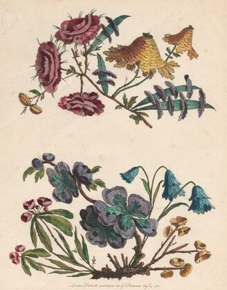Two Sprays of Imaginary Flowers (1760)