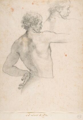Two Studies of a Man