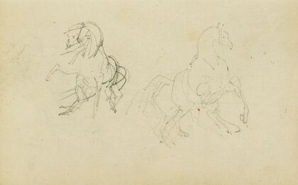 Two studies of a rearing horse