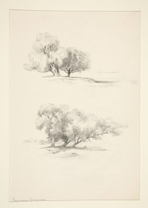 Two Studies of Trees (19th century)