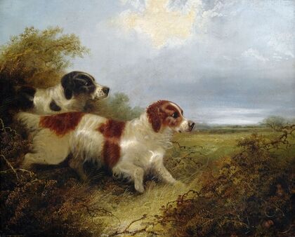 Two Terriers