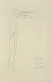 Two views of musculature of lower leg