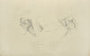 Two views of musculature of the face