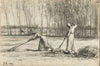 Two women working hay