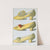 Two yellow satin shoes, the first worn on stage by the actress Miss Ada Cavendish, and one straw colored shoe by T. Watson Greig