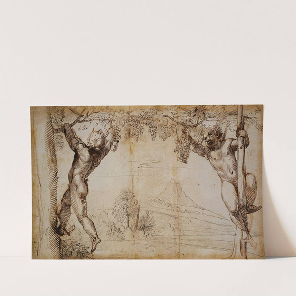 Two Young Satyrs picking Grapes (ca. 1597 – 1600) by Annibale Carracci