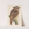 Uil op een tak (bubo lettii) by Theo van Hoytema