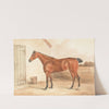 Ultima, One of Lord Maynard&#039;s Mares by William Henry Davis