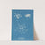 Ulva crispa, A. by Anna Atkins
