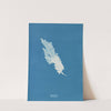 Ulva Linza by Anna Atkins