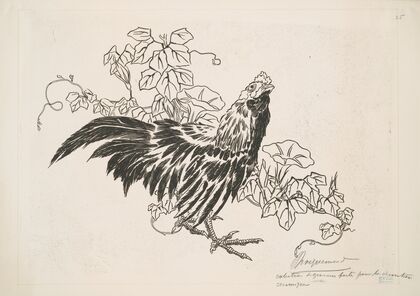 Un coq et des liserons.
