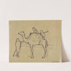 Un dromadaire et trois hommes by Arthur-Joseph Gueniot