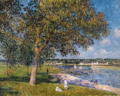 Un Noyer Dans La Prairie De Thomery