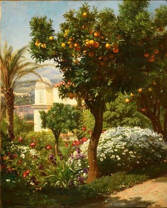 Un oranger dans la Villa Frémy à Nice