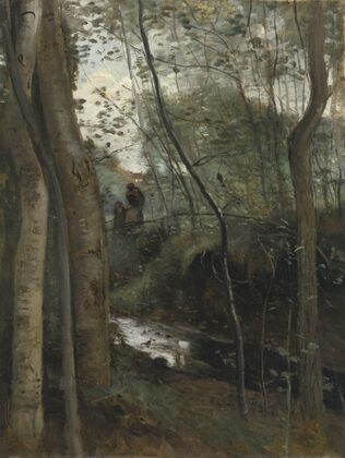 Un ruisseau sous bois