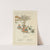 Under the window;pictures & rhymes for children Pl.51 (1878) by Kate Greenaway