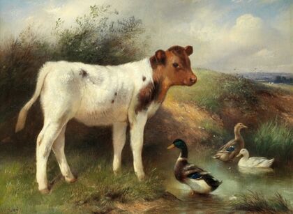 Unexpected companions