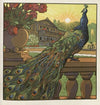 Unsere Haustiere Pl.11