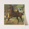 Unsere Haustiere Pl.13 (1911) by Fritz Gareis jr.