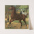 Unsere Haustiere Pl.13 (1911) by Fritz Gareis jr.