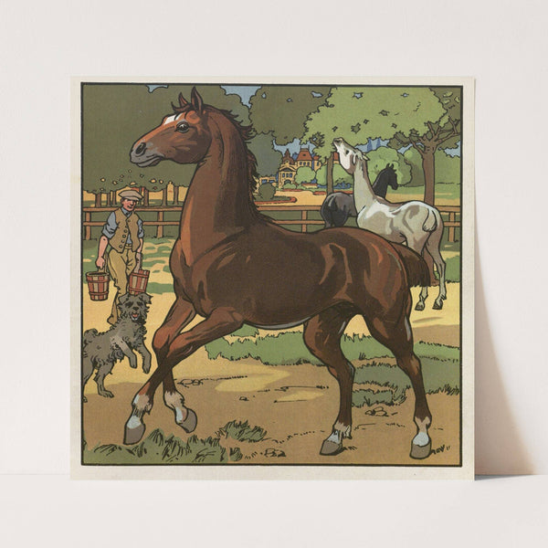 Unsere Haustiere Pl.13 (1911) by Fritz Gareis jr.