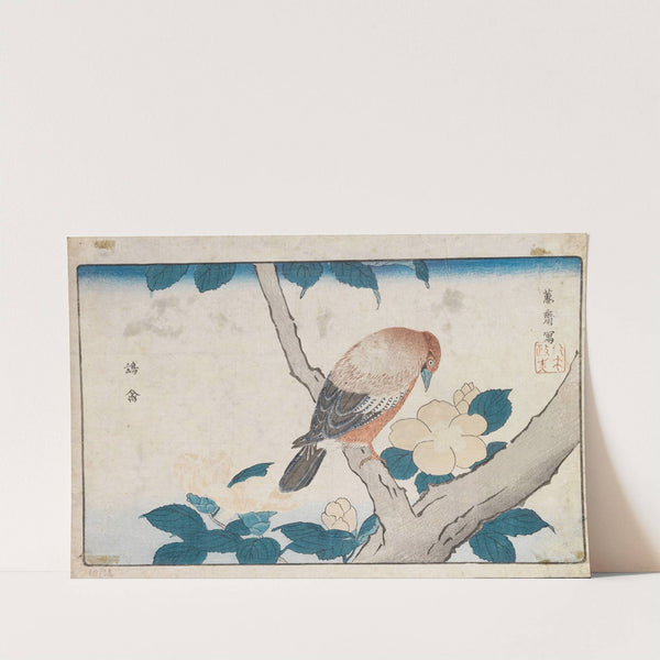Untitled by Kitao Masayoshi