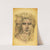 Untitled-Head by George Grey Barnard