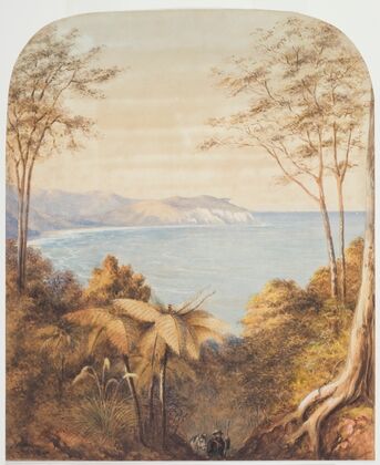 Untitled (New Zealand seascape)