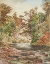 Untitled (River scene, Porirua river)