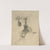 Untitled [study of a telephone] by Petrus van der Velden