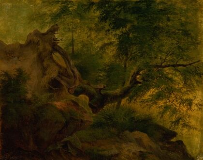 Uprooted Tree (Windthrow) (1860–1870)
