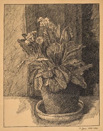 Urtepotte med primula