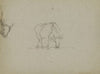 Vache et tête de vache