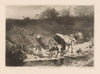Vaches aux bords d’un ruisseau (1880)