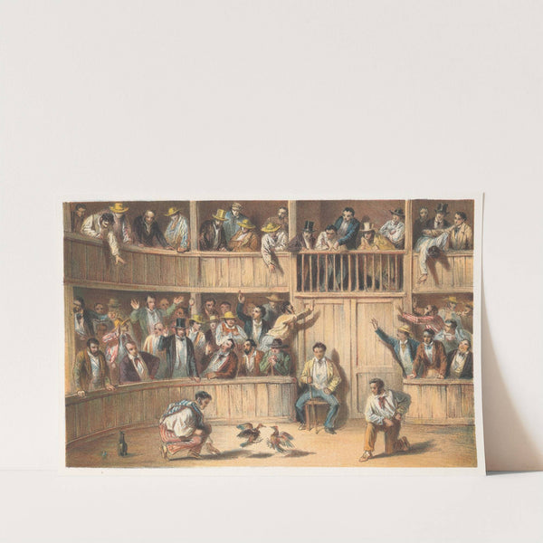 Valla de gallos (1855) by Pierre Toussaint Frédéric Mialhe