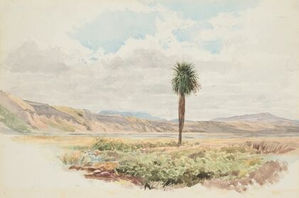Valley of the Mason, Highfield Rim. Amuri, Nelson — size preview