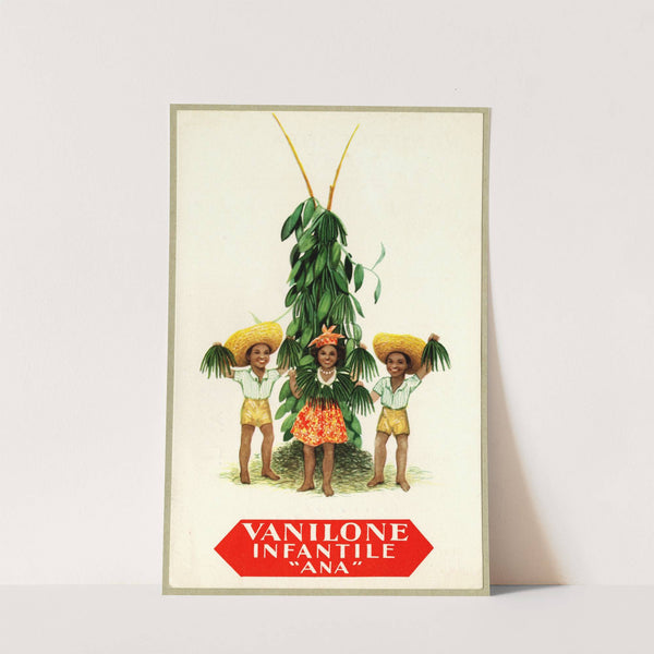 Vanilone infantile ‘Ana’