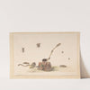 Various Insects by a Fungus by Rochus van Veen