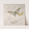 Various Moths and Butterflies by Kubo Shunman