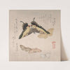 Various Moths and Butterflies by Kubo Shunman