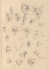 Various Sketches of Eyes, Ears, and Profiles