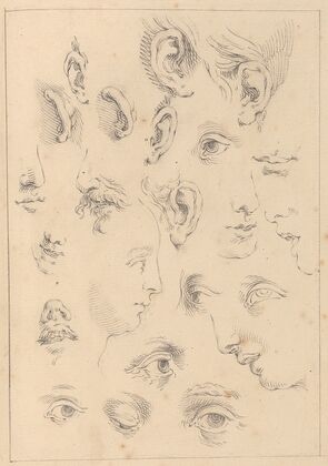 Various Sketches of Eyes, Ears, and Profiles
