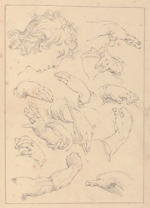 Various Sketches of Hands, Heads, and Arms