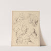 Various Sketches of Heads by Hamlet Winstanley
